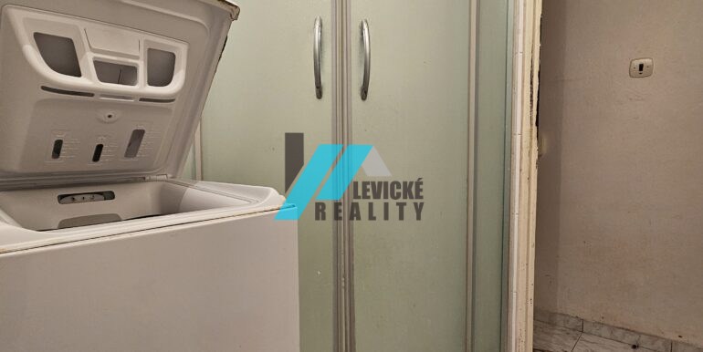 Levicke-reality-4