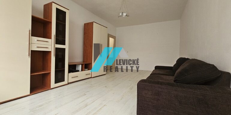 Levicke-reality-5