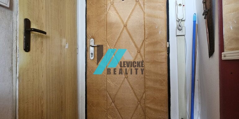 Levicke-reality-5