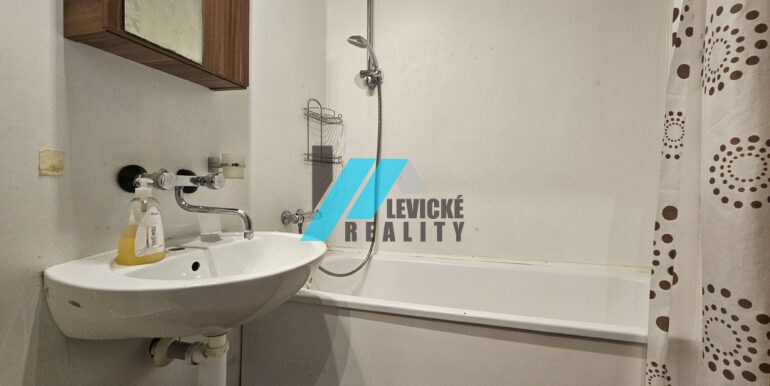 Levicke-reality-8